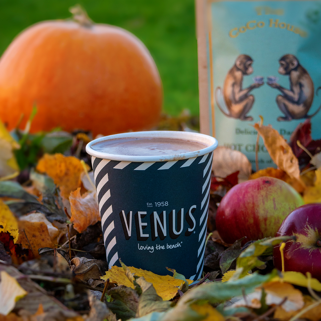 Vegan Organic Cinnamon Dark Hot Chocolate (VG)