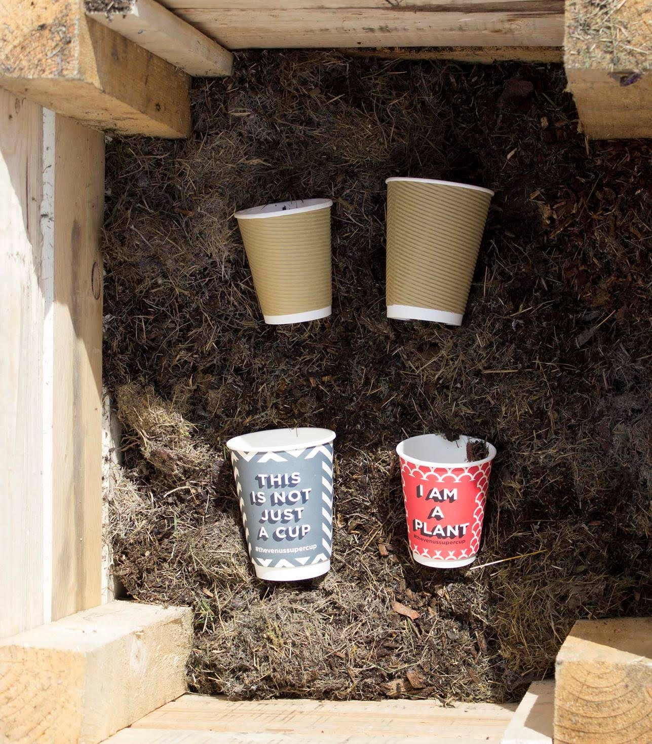 How does a coffee cup become compost?